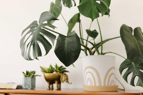 Photos by Lizzy Unger. https://LizzyUnger.com